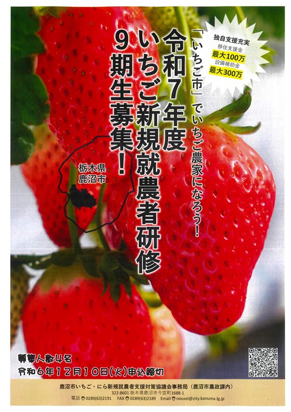いちご新規就農者研修 研修生募集のポスター