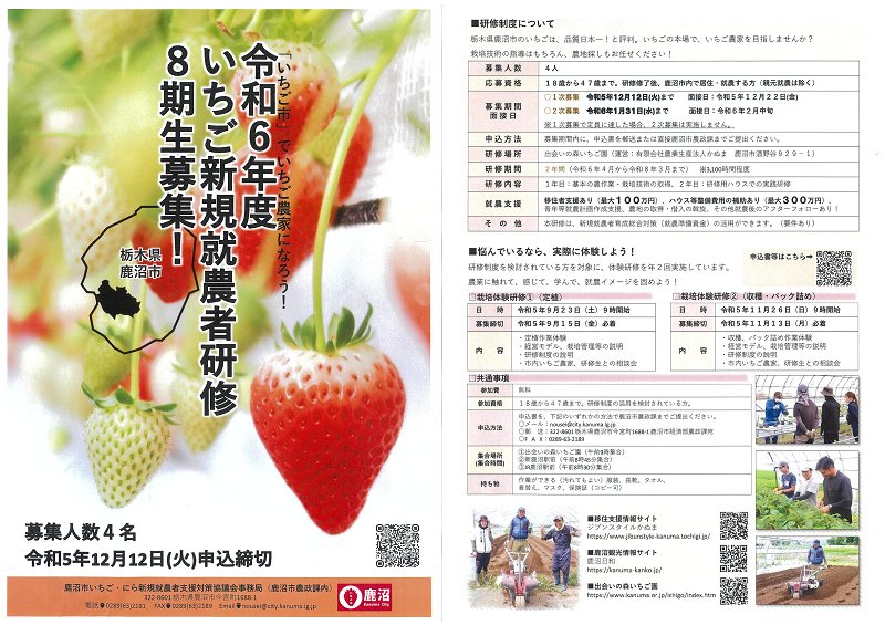 いちご新規就農者研修の募集チラシ